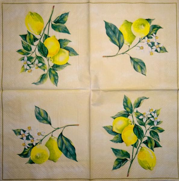 008 Lemons,  Oranges - 3-ply (weiß) - Ihr